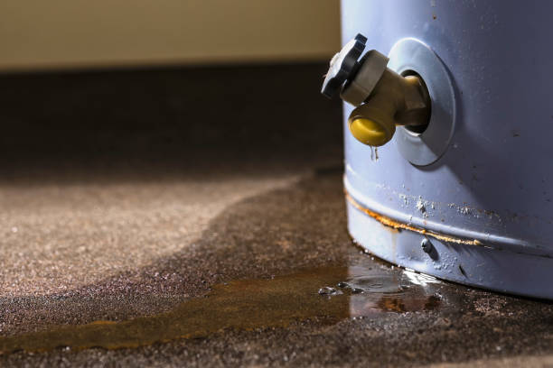 Best 24-hour water damage restoration  in Solomon, KS