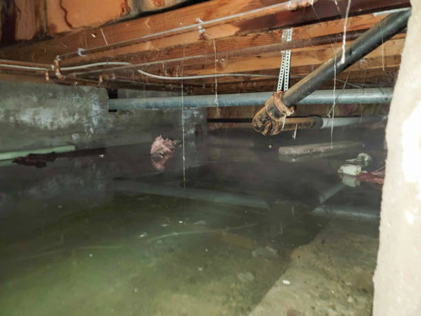 Best Sewage cleanup and water damage restoration  in Solomon, KS