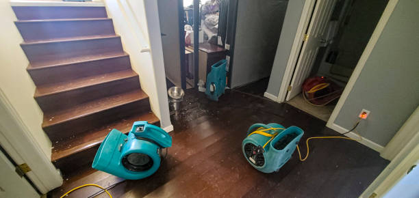 Best Fire Damage Restoration  in Solomon, KS