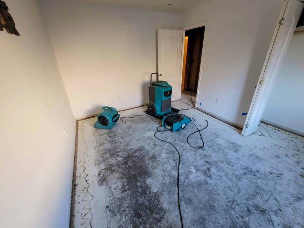 Best Fire Damage Restoration  in Solomon, KS