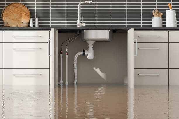 Best Flood restoration services  in Solomon, KS