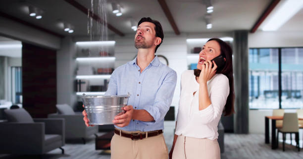 Best Water damage cleanup near me  in Solomon, KS